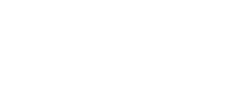 ACVM Patrimoine